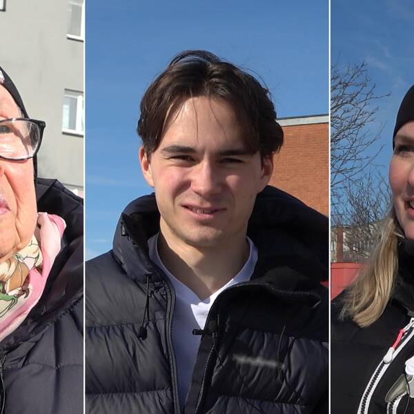 Vanja Blomkvist, Kilian Störzel och Mariann Digby i ett montage.