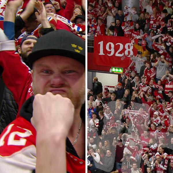 Timråfans ser lyckliga ut på läktaren