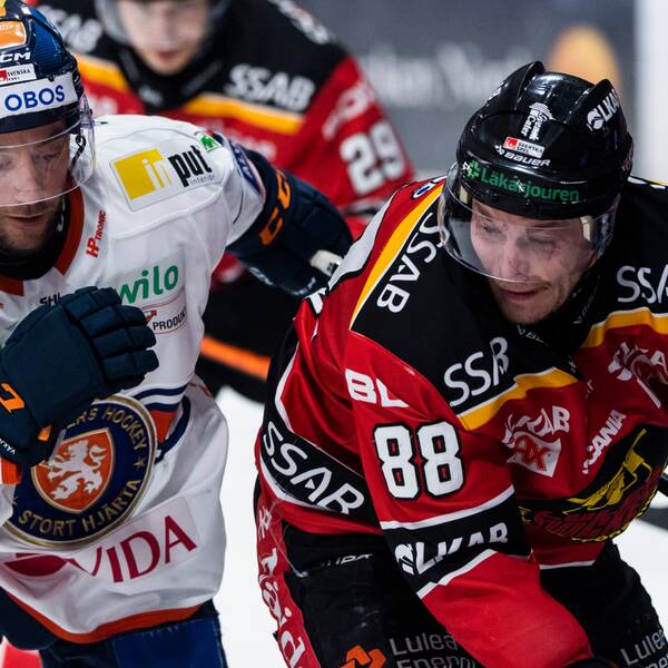 Växjös Dan Sexton och Luleås Joonas Rask.