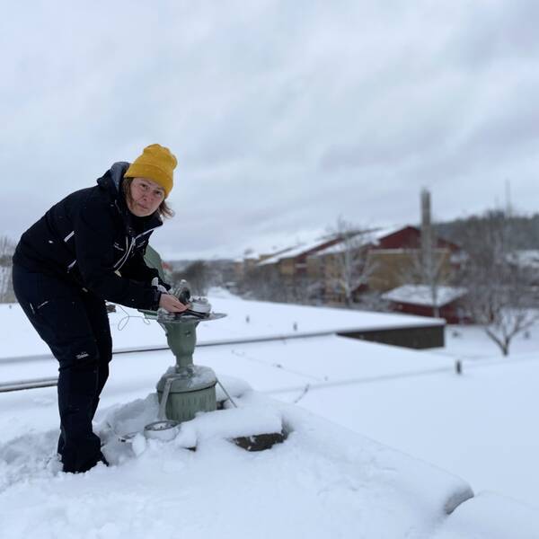 Katrin Edholm, som är miljö och hälsoskyddsinspektör, spår en tuff pollensäsong. Hör mer om det in klippet.