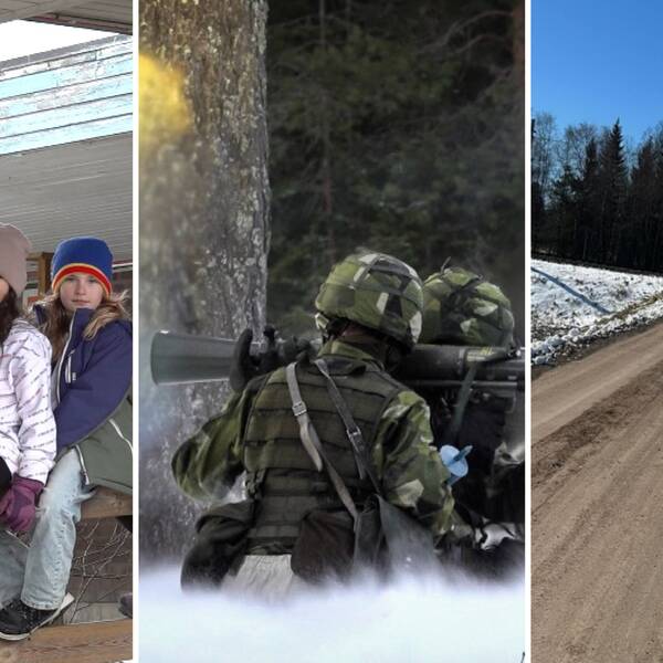 barn som sitter på ett staket, militärer med vapen i en övning och en buss som är på en järnvägsövergång.