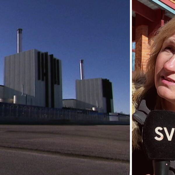 kärnkraftverk och politikern anna hed (c)