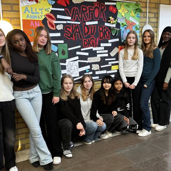 På bilden syns 13 av de 15 elever som varit med och bidragit i denna kampanj som heter Varför ska du bry dig?. Mitt i bild syns även en tavla som eleverna skapat, som handlar om de sexuella trakaserrierna.