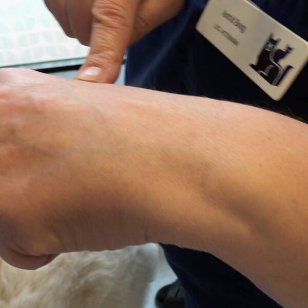 Veterinär Astrid Borg undersöker hunden Pradas och visar ”knogtricket”.