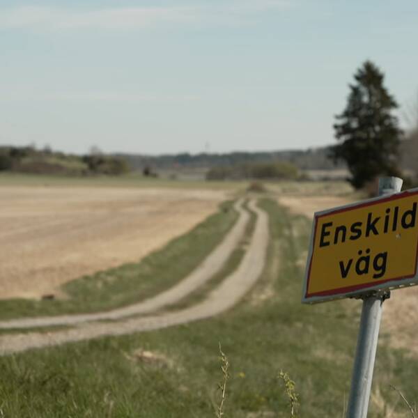En bild från naturreservatet Hjälstaviken.