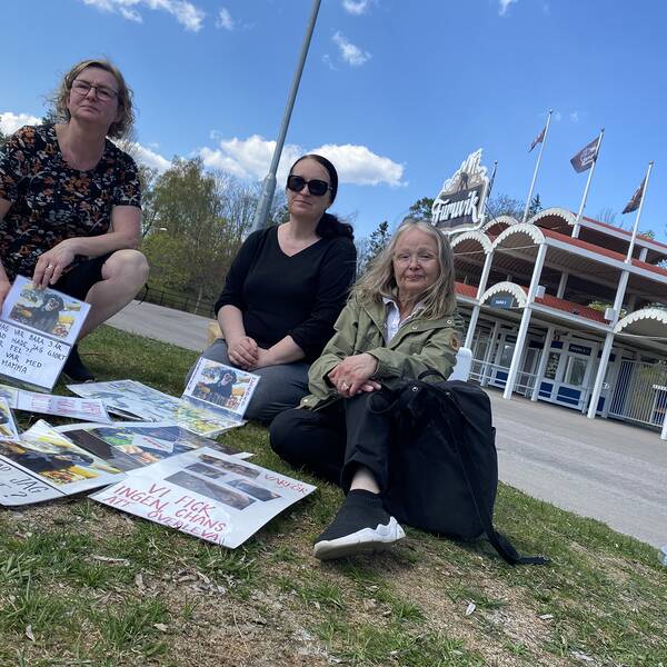 Tre kvinnliga demonstranter sitter framför Furuviks entré med sina plakat.