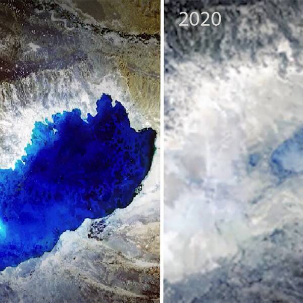 Hälften av jordens sötvattens sjöar håller på att torka ut.