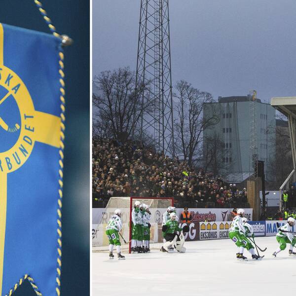 Svenska Bandyförbundet och SM-finalen på Studenternas i Uppsala