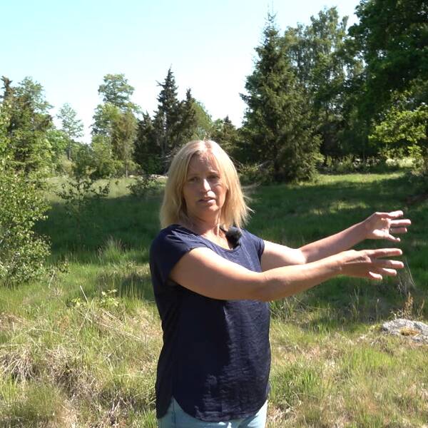 Kristina Händevik söker djur till hennes betesmarker utanför Kalmar, men det är inte helt lätt.