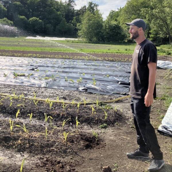 Trädgårdsmästaren Ossian Tidblom, svart t-shirt och svart keps, står på sin odlingsmark i Ytterjärna och berättar.