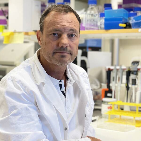 Virologiprofessor Niklas Arnberg sitter i labbet