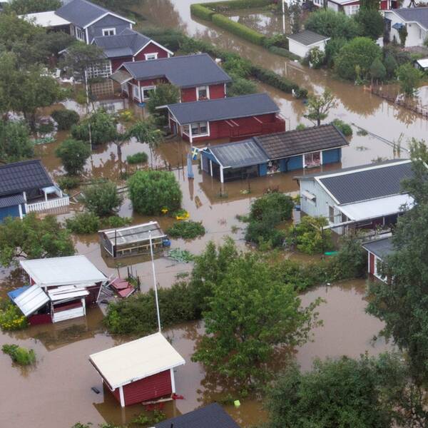 Översvämmat bostadsområde med vägar och trädgårdar täckta av vatten.