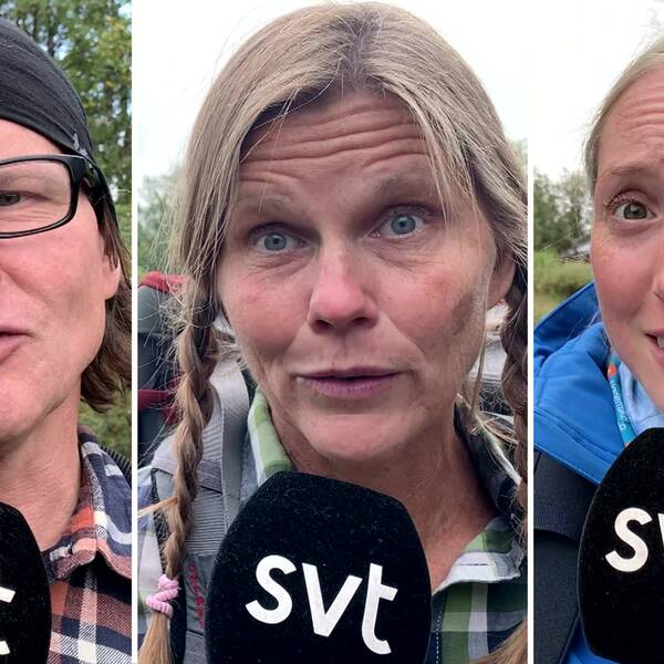 Tre olika bilder bredvid varandra med en man och två kvinnor med vandringskläder som intervjuas i tv.