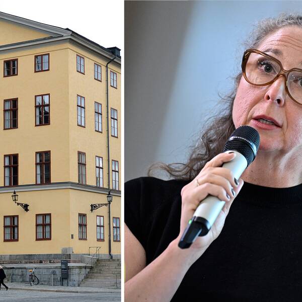 Samebyns juridiska ombud Camilla Wikland, om förhandlingen i Högsta Förvaltningsdomstolen.