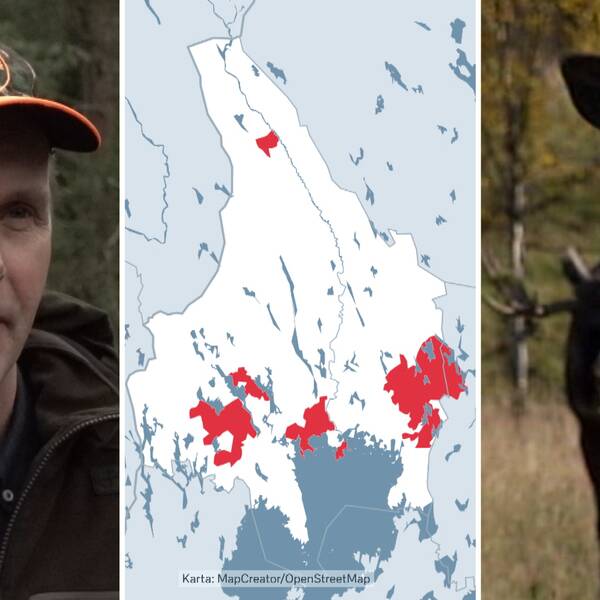 Tredelad bild. Till vänster syns Anders Olsson, ordförande i Jägareförbundet Värmland, med en militärfärgad keps. I mitten syns en karta över området i Värmland och till höger syns två älgar.