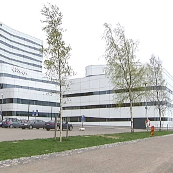 kulturväven väven umeå kulturhus