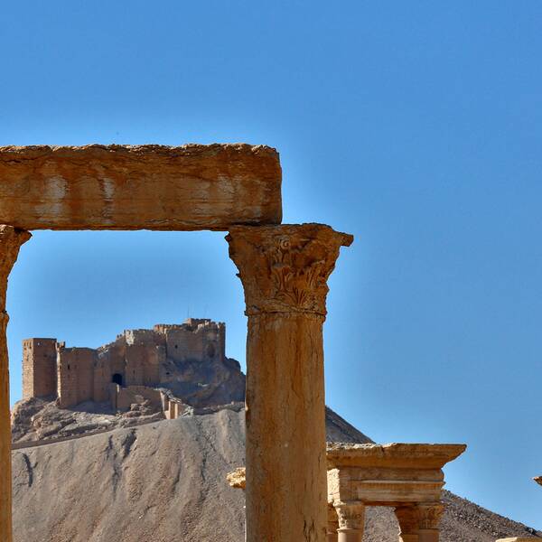 Palmyra i Syrien, en av alla platser där kulturarv förstörts och plundrats.