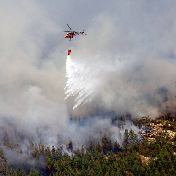 Rök stiger från skogsbranden som härjade i Västmanland i augusti 2014.