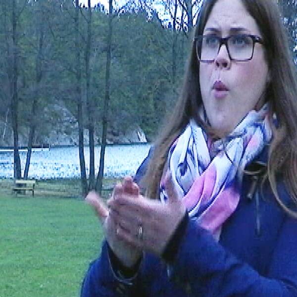 Rakel