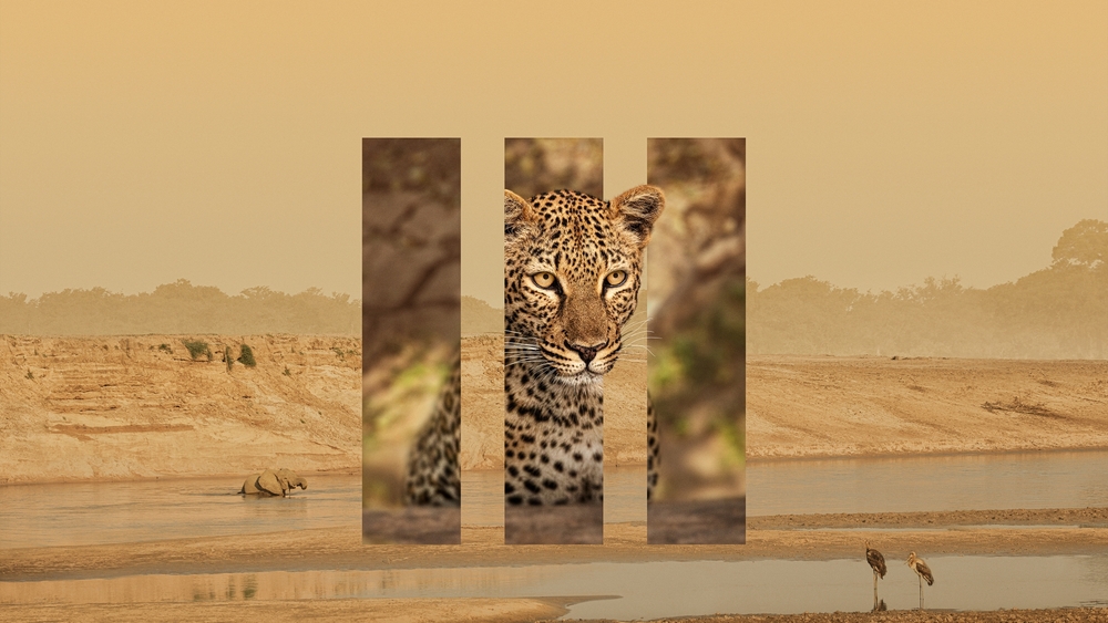 Världens natur: Planet Earth III