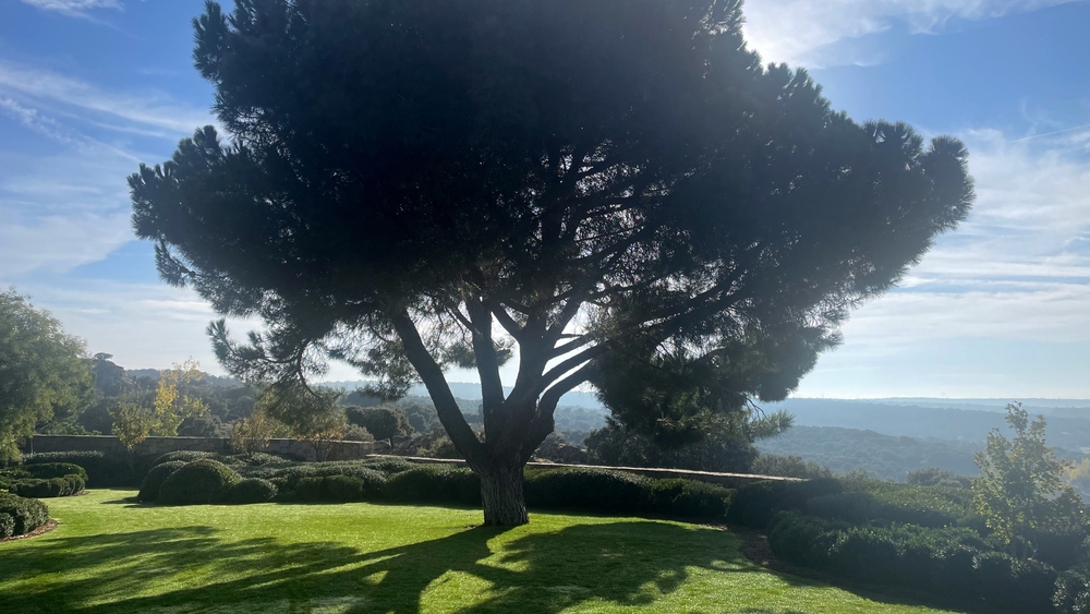 Monty Dons spanska trädgårdar