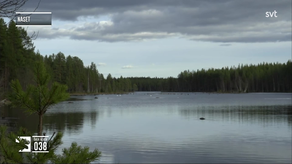 Den stora älgvandringen
