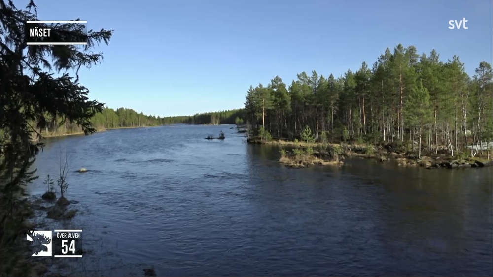 Den stora älgvandringen