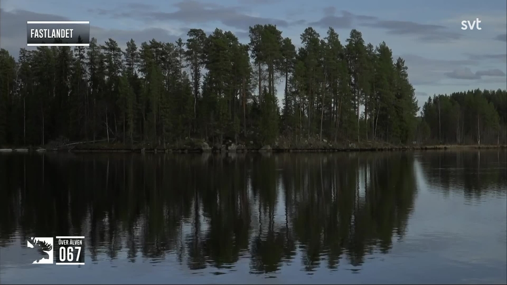 Den stora älgvandringen