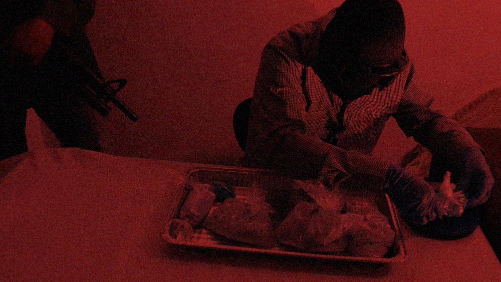 Dokument utifrån: Opioidkrisen i USA