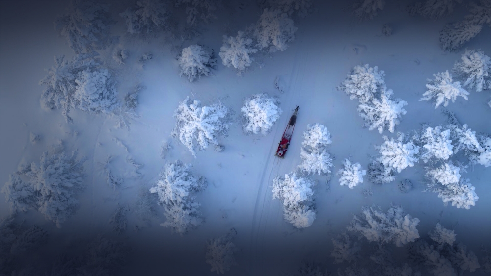 Världens natur: Tomtens vilda värld