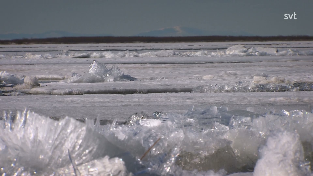 Den förbjudna floden