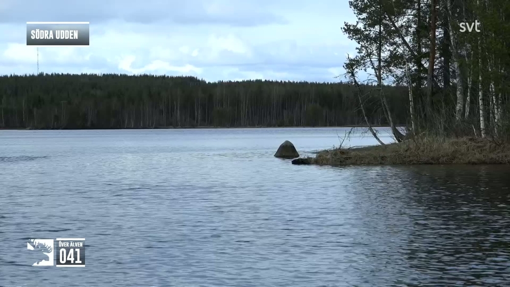 Den stora älgvandringen