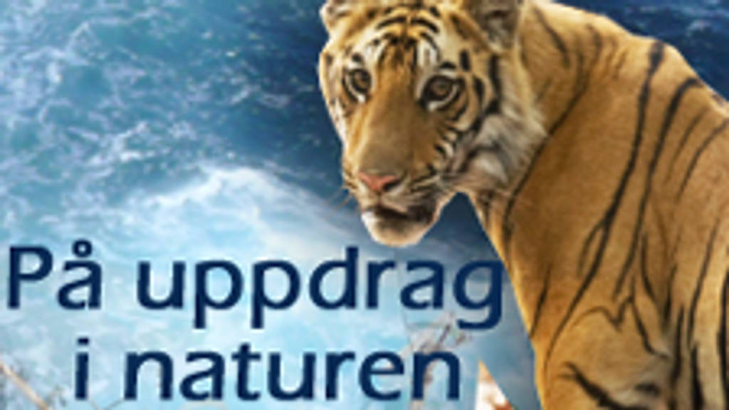 På uppdrag i naturen