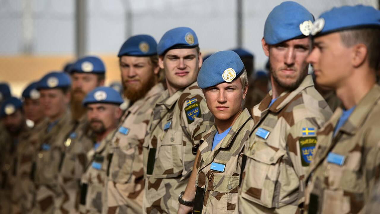 вооруженные силы швеции