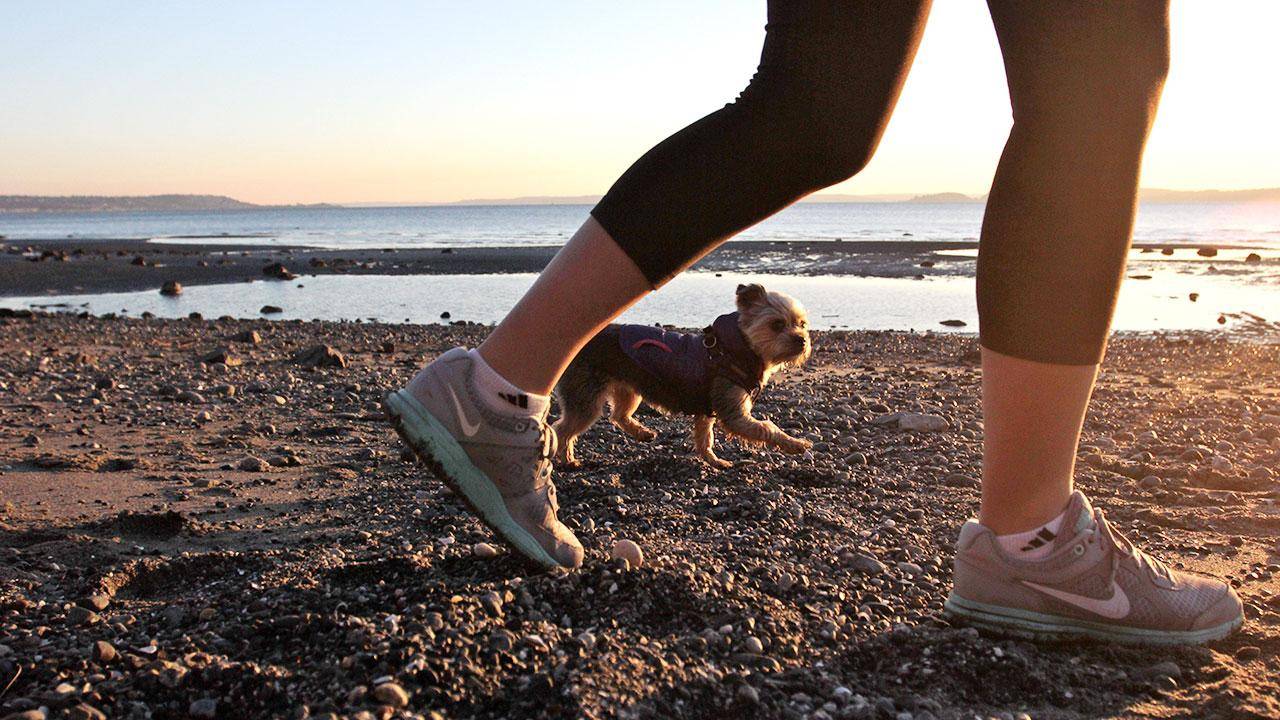 две женщины гуляют. ходьба женщина. сон после обеда. прогулка после приёма пищи. ходьба после еды.