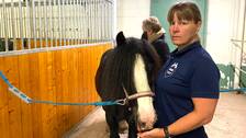 Hör Madeleine Dunsäter berätta om de svåra tiderna för ridskolorna i klippet.