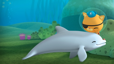 Delfinkalven