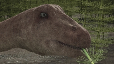 Magyarosaurusen och vassen