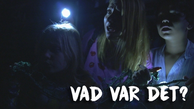 15. Vad var det?
