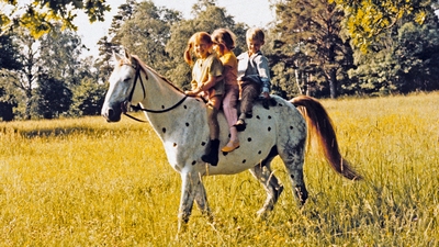 2. Pippi är sakletare och går på kalas