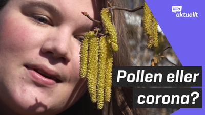 Pollen eller corona?