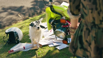 4. Mitt liv som hund