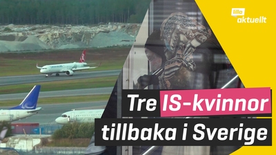 Svenska IS-kvinnor har landat i Sverige