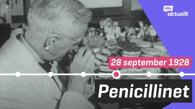 Vad hände då? Penicillinupptäckten