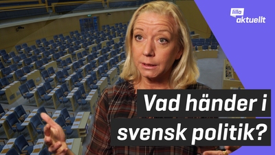 Vad händer i svensk politik?