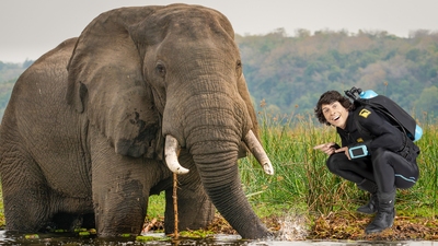 Andy och dom afrikanska elefanterna