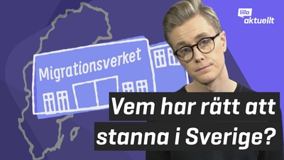 Vem har rätt att stanna i Sverige?