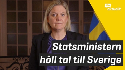 Statsministern höll tal till Sverige