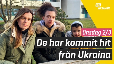Ukrainare söker skydd i Sverige