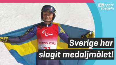 Flera medaljer till Sverige i Paralympics